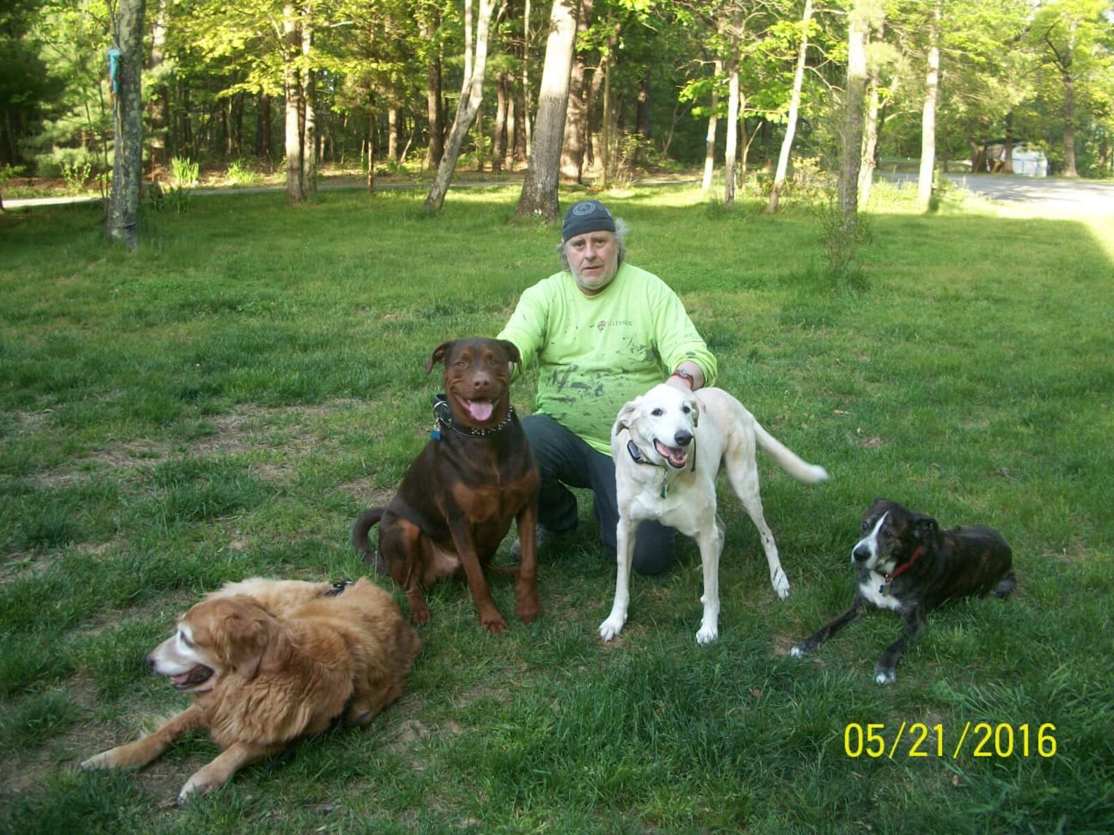 Tom sitting in a yard with four dogs